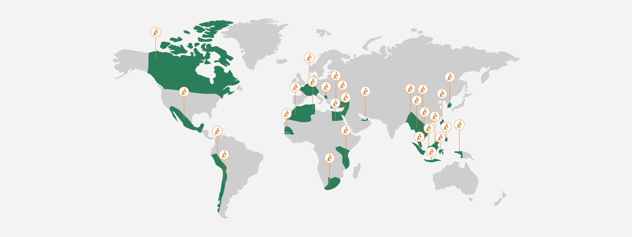 Our-presence-map Our-presence-map